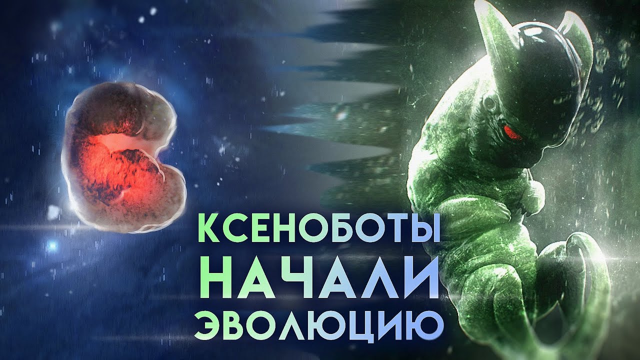 ��������� ����� �� ����� - ��� ������ ����