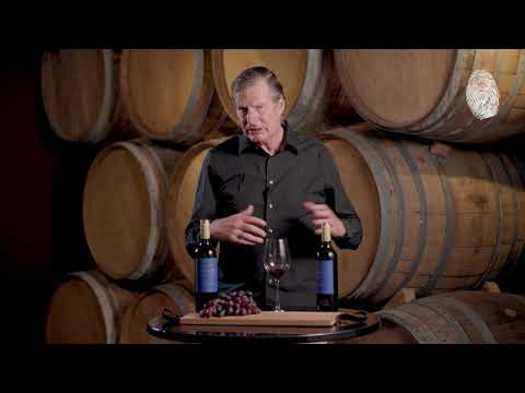 ALPASION WHATABOUTME MALBEC with Master of Wine Cees van Casteren - Virtual Sommelier Sieres