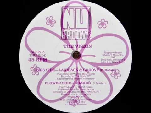 The Vision - Laidback & Groovy