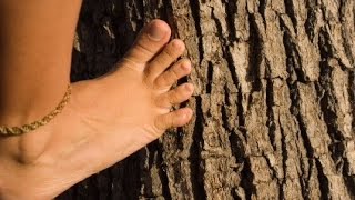 How to climb trees without branches - To climb tree like a monkey