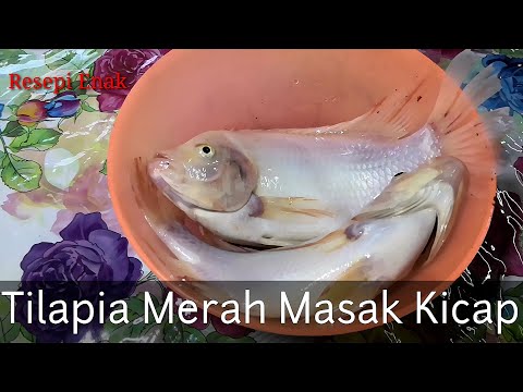 Resepi Ikan Tilapia Merah Masak Kicap issss DONEE