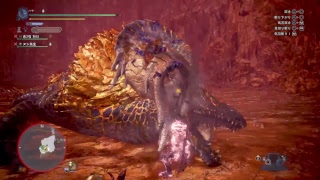 実況放送　MHW ヘルプマンが行く！