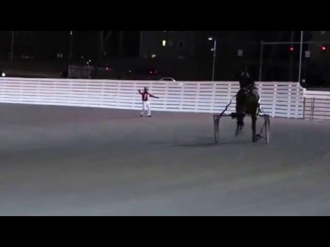 George Brennan stops loose Lucan Hanover at Yonkers Raceway