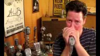 Video thumbnail for ElectroVoice EV 641 Vintage Dynamic Microphone, Harp and Vocals by GoldenBug
