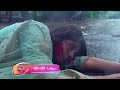 Choti Sarrdaarni Episode 540 Meher Sarabjit Meet With An Accident