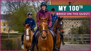 Equestrian Rides the Swedish Warmblood in Sweden