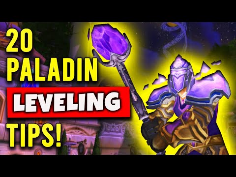 Top 20 Paladin Leveling Tips for WOTLK Classic