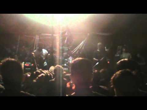 Asphyxiate   Digested embryonic live in lampung