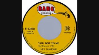 Neil Diamond - You Got To Me  (1967 Mono)