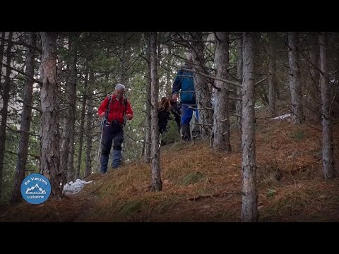 ŽARAČKA Planina | Neotkriveni PRIRODNI dragulj | SA VANJOM U PLANINE Ep.02