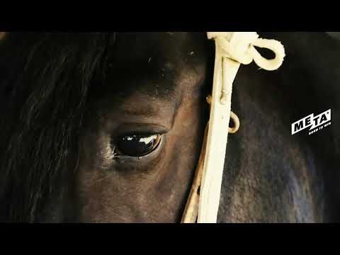 Segunda serie libre B