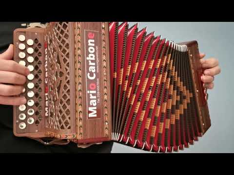 8 Bassi - FIURI - D.  Muccari - brano - Accordion diatonic - organetto da vita mia