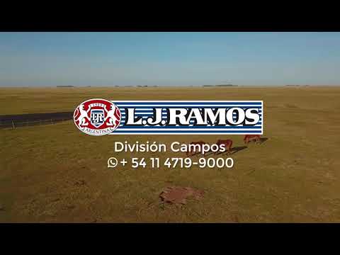 L. J. Ramos Brokers Inmobiliarios / Campo en Benito Juárez, Buenos Aires