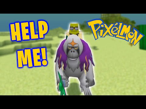 I CANT DEFEAT THE GYM! PocketPixels #10