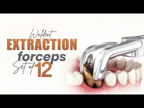 Dental Extraction Forceps | Waldent Extraction Forceps Set of 12 | Dentalkart #dentistry #dental