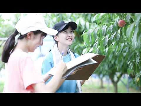厚木キャンパス紹介