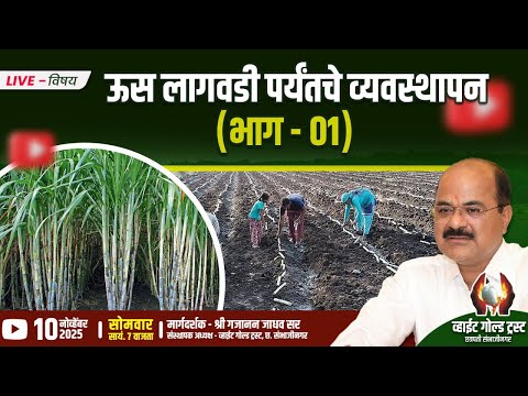 ऊस लागवडी पर्यंतचे व्यवस्थापन, चिया बद्दल थोडक्यात माहिती