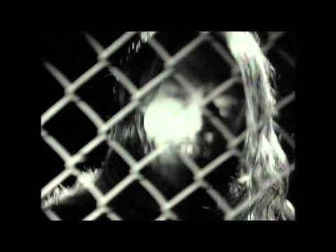 Suiciety-Shades Of Grey (HD)