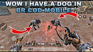 How To Unlock DOGS ( K9 UNIT) In BATTLE ROYALE CALL OF DUTY MOBILE COD MOBILE CODM