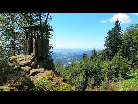 Wandern am Goldsteig bei Vogelsang BAYERISCHER WALD - Naturdenkmäler Regensburger Stein Klosterstein