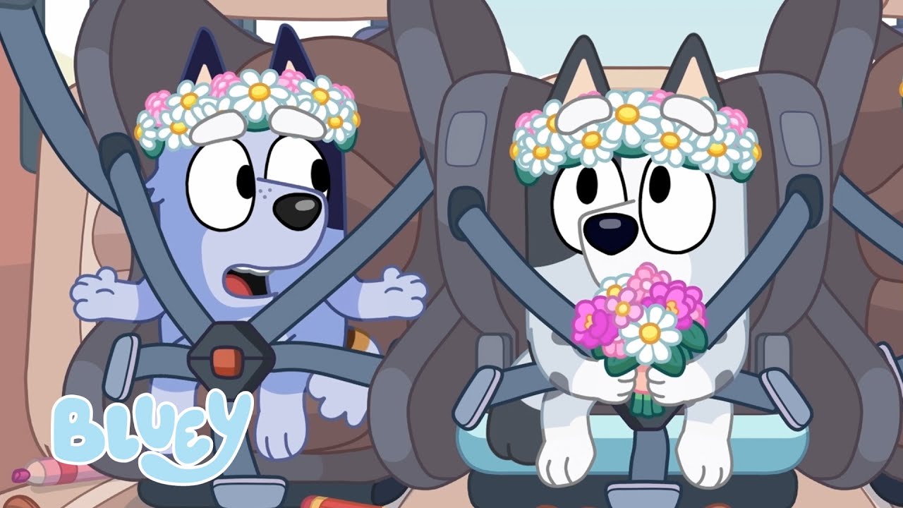 Destaques do Muffin e Socks Engraçadas! 💜 🤍 | Bluey Português Brasil Canal Oficial