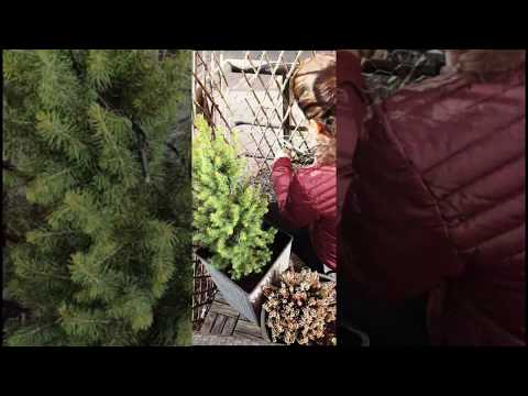 [Nasrin Rezvana Eden] Spring cleaning & Daily life ????????????
