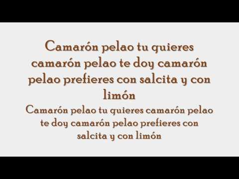 download lagu mp3 mp4 Camaron Pelao Letra, download lagu Camaron Pelao Letra gratis, unduh video klip Camaron Pelao Letra