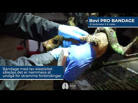 Bovi Hufbandage, 12 Rollen. 6 Meter - blau