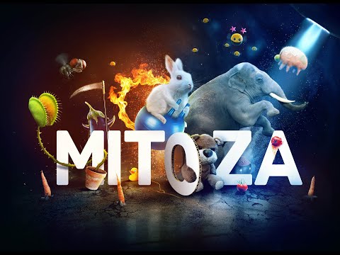Vídeo de Mitoza