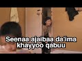 Afaan Oromoo Seenaa Ajaibaa
