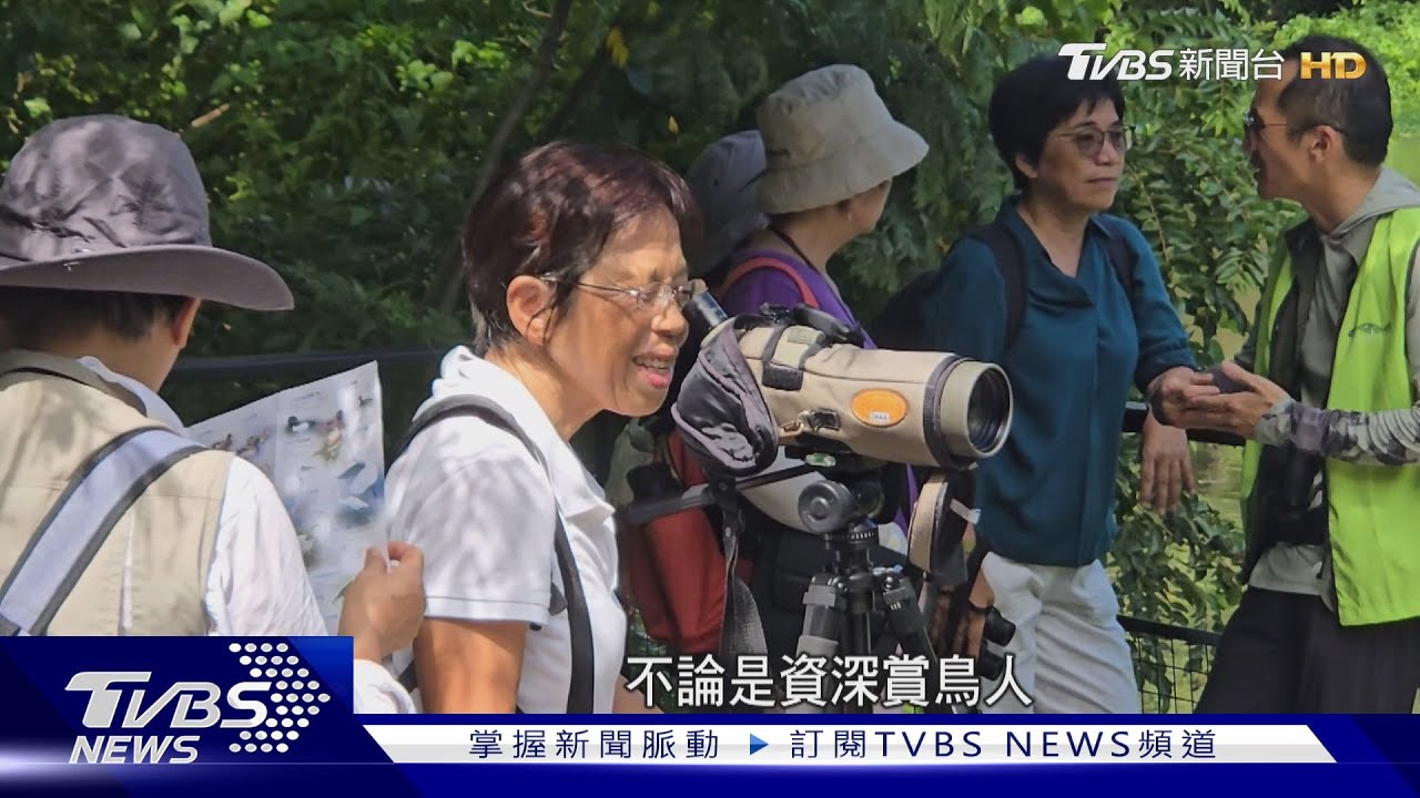 都市之肺! 企業認養耗資千萬 打造城市永續生態公園