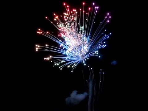 2 Maltese=Style Multi Break Cylinder Shells, One Good, One  not so good