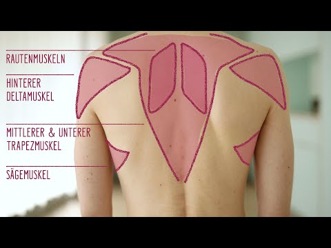 Hyperkyphose – Mit Pilates gegen den Bildschirm-Buckel