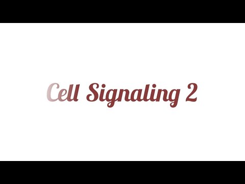 Cell Signaling 2