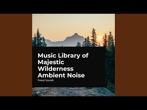 Forest Animals in Harmony