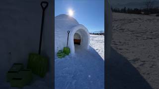 Download lagu Igloo ठंड में भी गर्मी कैसे देता है.? mp3