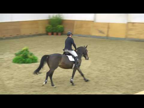 104. Charika v. Carrico - Ramirado