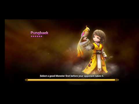 Miho The Killer Cat in RTA summoners war