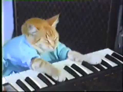 fallen angel with keyboard cat.wmv