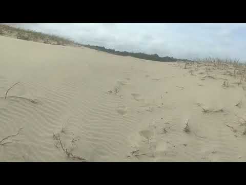 Oceanía del Polonio 29 de noviembre de 2025_2