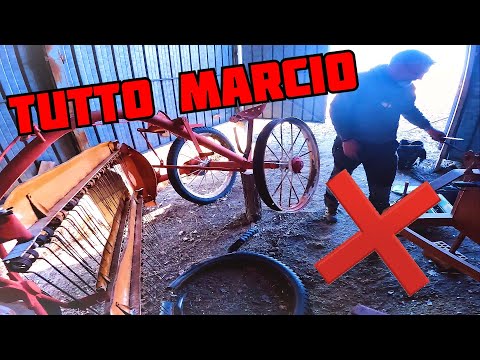 CHE FINE HA FATTO IL RANGHINATORE BCS?