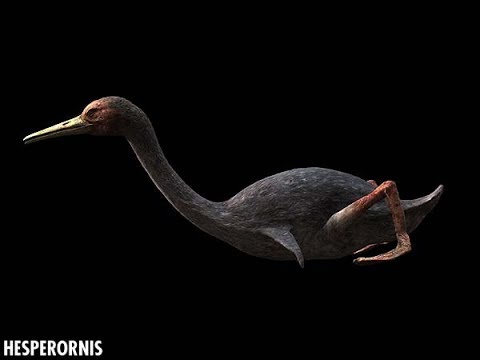 TRILOGY OF LIFE - Sea Monsters - "Hesperornis"