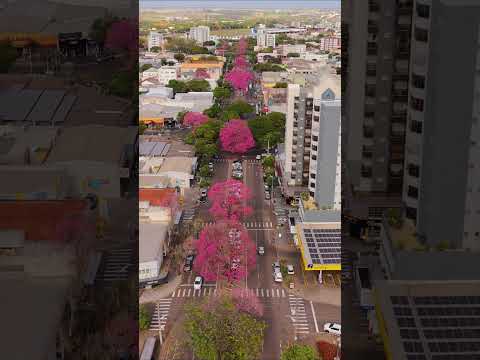 Cidade de Cianorte - Paraná. Avenida Souza Neves,  #drone #turismo #parana #cianorte