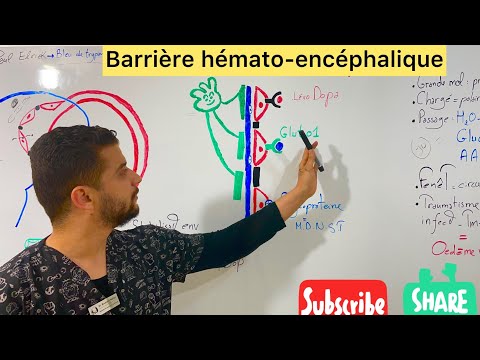Barrière hémato-encéphalique