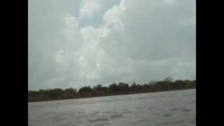 preview picture of video 'Entrant al Riu Amazonas'