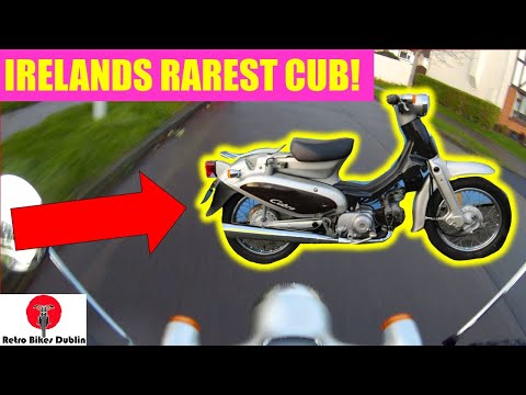 Honda Little Cub Cubra - Honda little cub & little cub cubra Irelands RAREST cub (Ride & Review)
