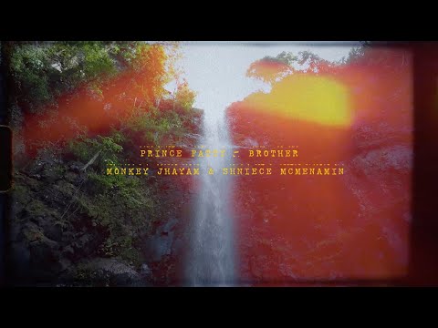 Prince Fatty - Brother ft Monkey Jhayam and Shniece Mcmenamin (Offical video)