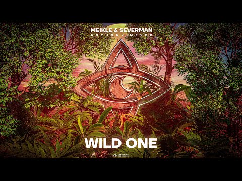 Meikle & Severman feat. Anthony Meyer - Wild One