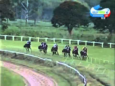 2015.02.08 Breeders Champions Cup (ZIM) - Rock the Country