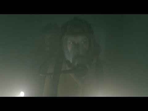 afbeelding Dans la Brume